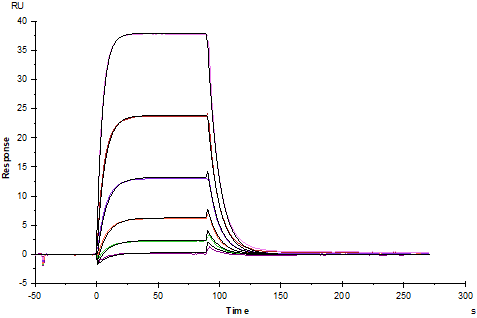 CD200 His Tag Protein, Mouse