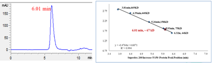 DCK Protein, Human