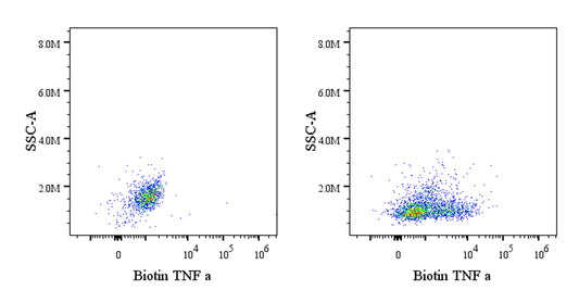 Biotin Rat Anti-Mouse TNF α Antibody (S-R604)