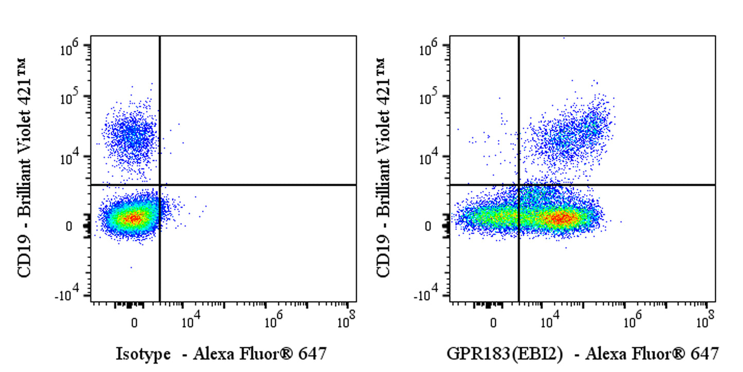 Alexa Fluor® 647 Mouse Anti-Human GPR183 (EBI2) Antibody (S-3016)