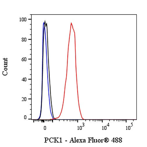 PCK1 Recombinant Rabbit mAb (S-2350-30)