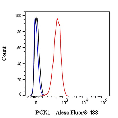 PCK1 Recombinant Rabbit mAb (S-2350-30)