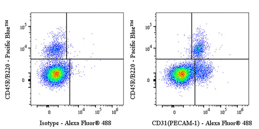 Invivo Anti-Mouse CD31 (PECAM-1) Recombinant mAb