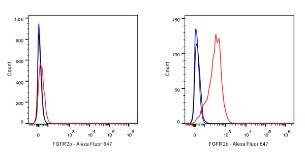 S-RMab® FGFR2b Recombinant Rabbit mAb (SDT-423-33)