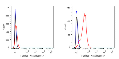 S-RMab® FGFR2b Recombinant Rabbit mAb (SDT-423-33)