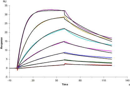 CD40 Ligand /TNFSF5 Trimer His Tag Protein, Human/Cynomolgus/Rhesus macaque