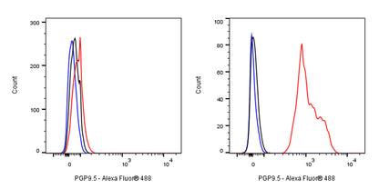 PGP9.5 Recombinant Rabbit mAb (SDT-665-37)