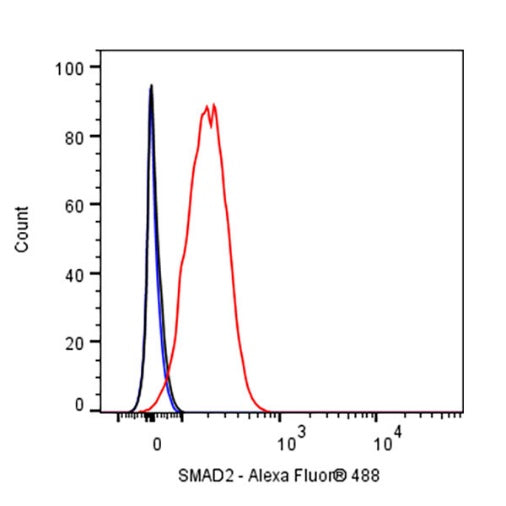 SMAD2 Recombinant Rabbit mAb (S-1521-177)