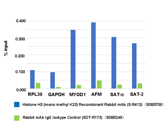 Histone H3 (mono methyl K23) Recombinant Rabbit mAb (S-R413)