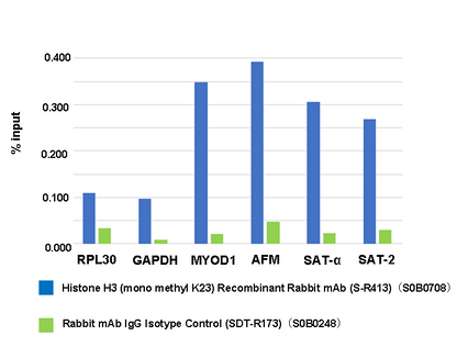 Histone H3 (mono methyl K23) Recombinant Rabbit mAb (S-R413)