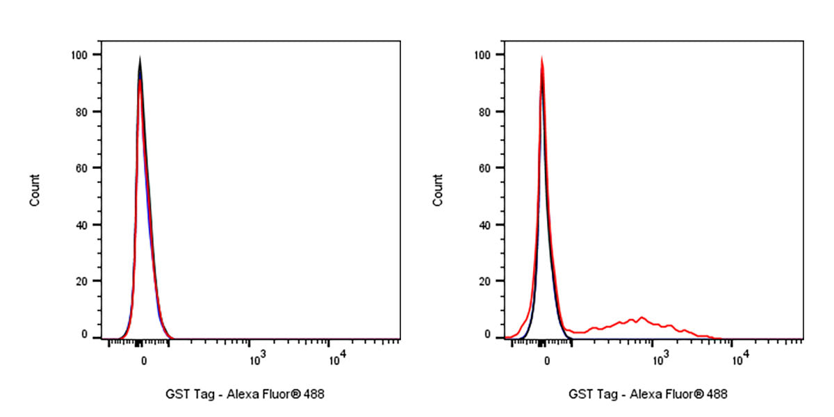 GST Tag Recombinant Rabbit mAb (Alexa Fluor® 488 Conjugate) (S-372-19)