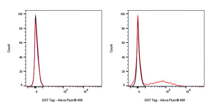 GST Tag Recombinant Rabbit mAb (Alexa Fluor® 488 Conjugate) (S-372-19)
