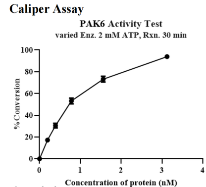 PAK6 His Tag Protein, Human