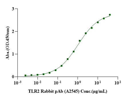 TLR2 Flag-His Tag Protein, Human(SP17)(Detergent)