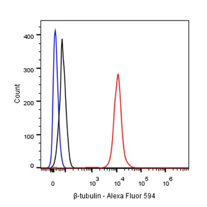 β-tubulin Recombinant Rabbit mAb (Alexa Fluor® 594 Conjugate) (S-312-113)