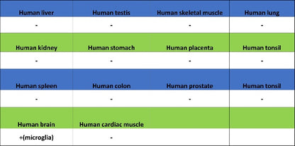 P2ry12 Recombinant Rabbit mAb (SDT-3134-52)