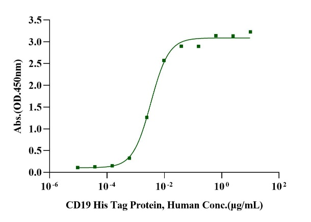 CD19 His Tag Protein, Human