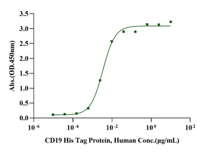 CD19 His Tag Protein, Human