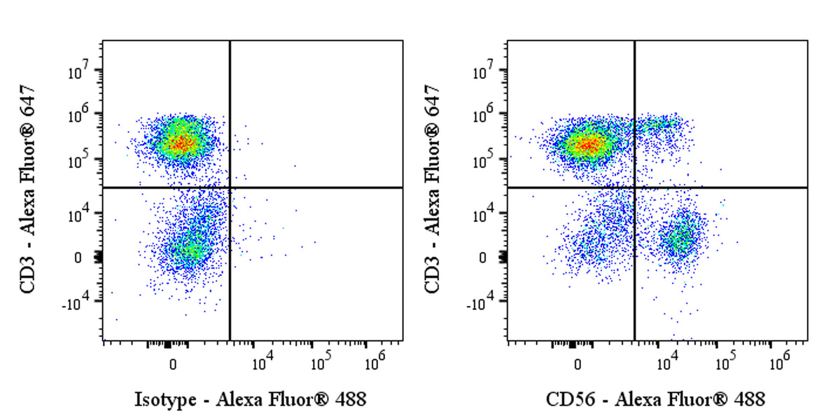Mouse Anti-Human CD56 Antibody (S-5410)