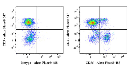 Mouse Anti-Human CD56 Antibody (S-5410)