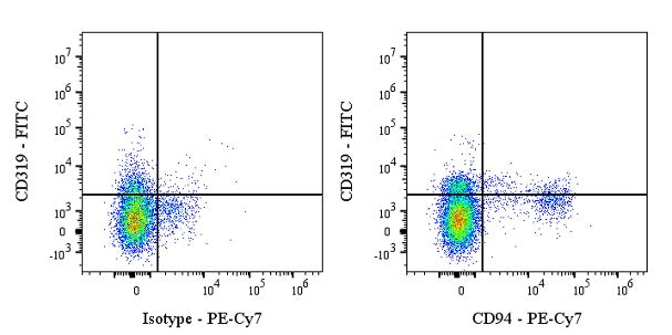 PE-Cy7 Rabbit Anti-Human CD94 Antibody (S-2616-17)