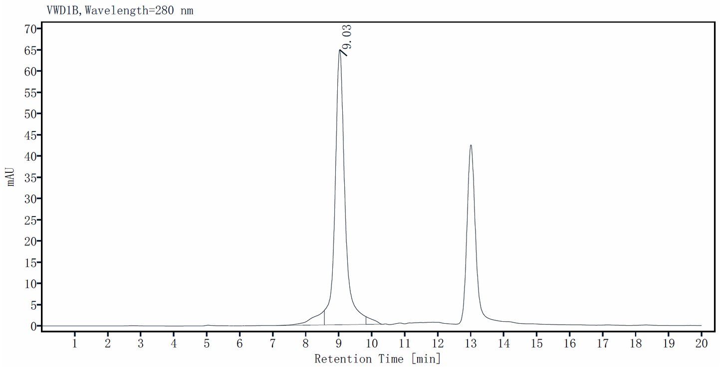 ALK5 His Tag Protein, Human