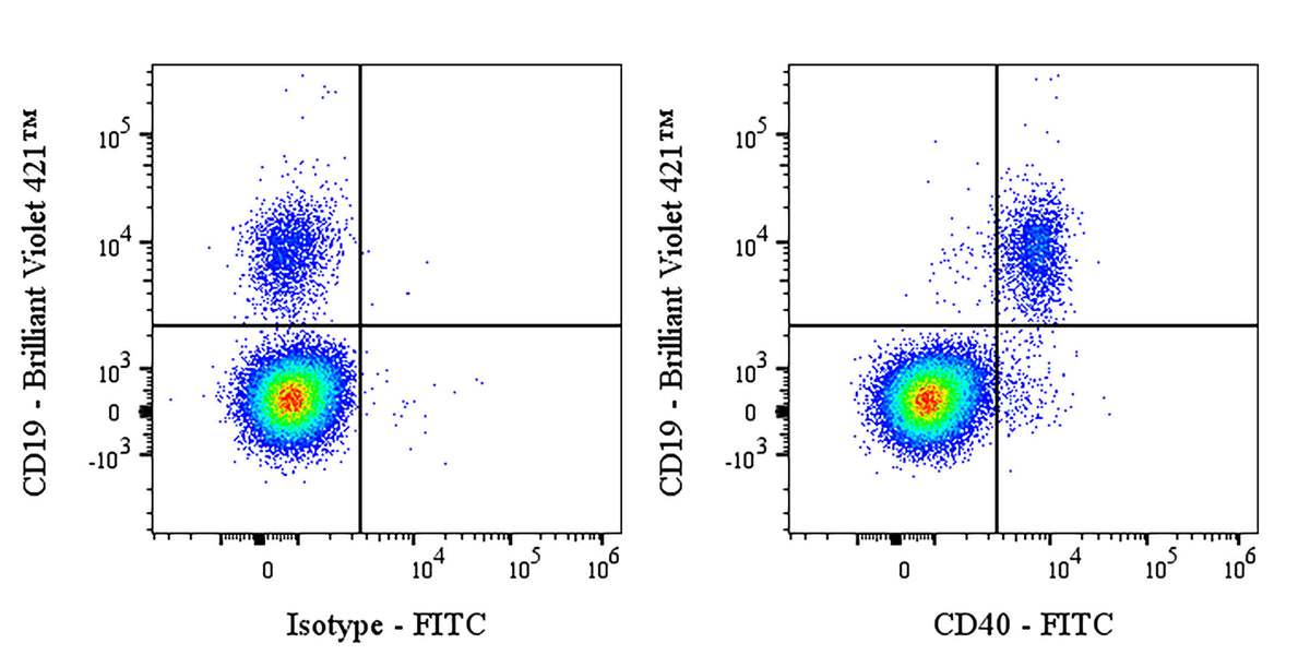 FITC Mouse Anti-Human CD40 Antibody (S-R485)