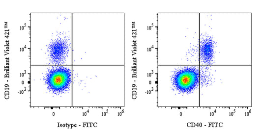 FITC Mouse Anti-Human CD40 Antibody (S-R485)