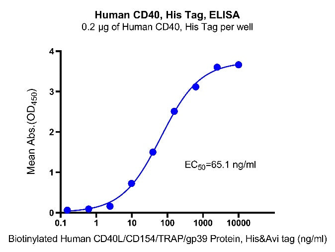 Human CD40, His Tag