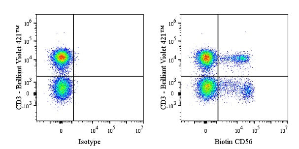 Biotin Mouse Anti-Human CD56 Antibody (S-3499)