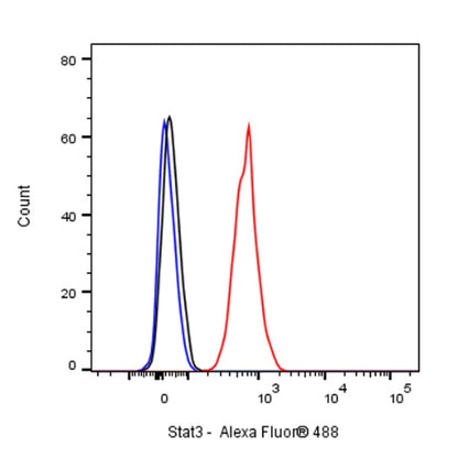 Stat3 Recombinant Rabbit mAb (S-1393-64)