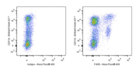 Alexa Fluor® 488 Rat Anti-Mouse F4/80 Antibody (S-R537)