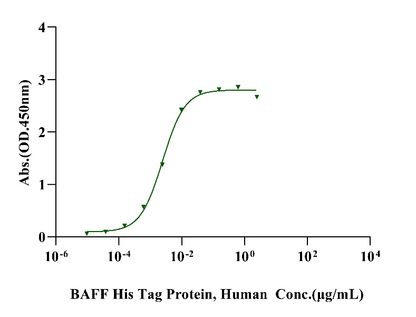 BCMA/TNFRSF17 Fc Chimera Protein, Human