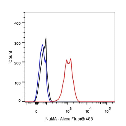 NuMA Recombinant Rabbit mAb (SDT-474-241)