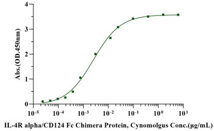 IL-4 Protein, Human