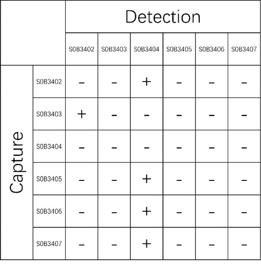 IL-29/IL-28 Recombinant Rabbit mAb (SDT-1838-9)