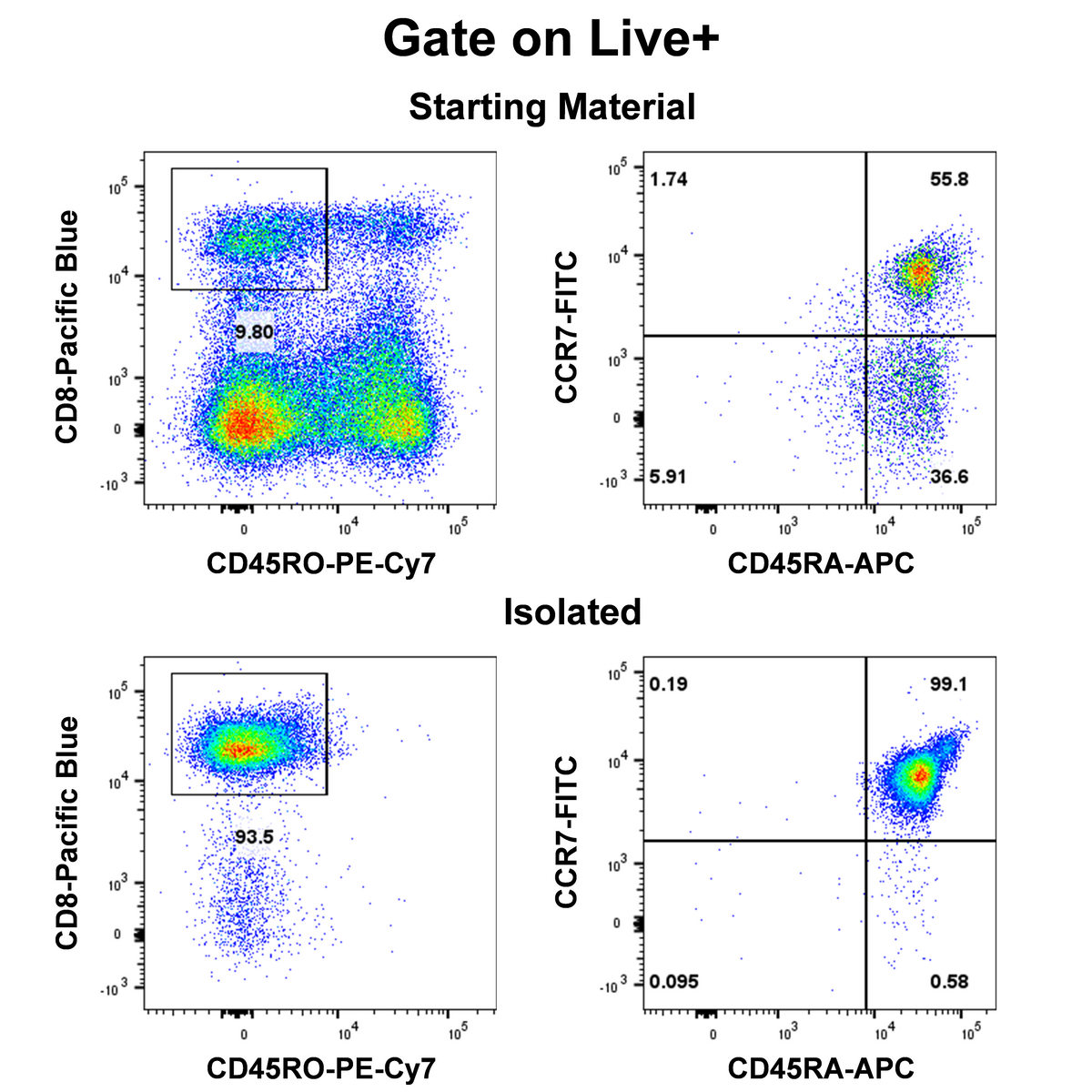 Human Naïve CD8 T Cell Isolation Kit (Column-Free)
