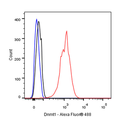 Dnmt1 Recombinant Rabbit mAb (S-R324)