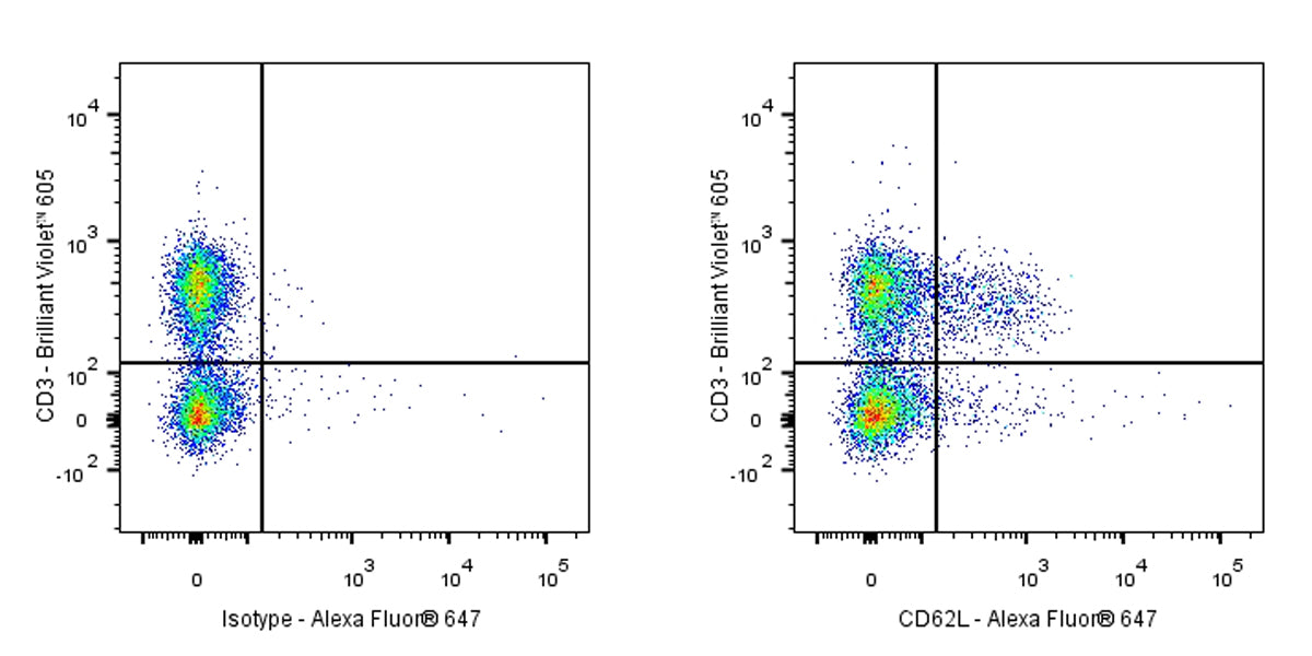 Mouse Anti-Rat CD62L Antibody (OX-85)
