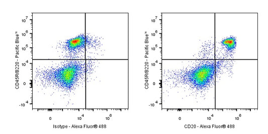 Invivo Anti-Mouse CD20 Recombinant mAb