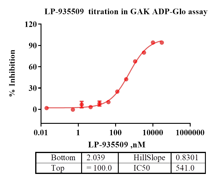 GAK Protein