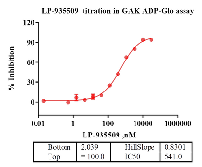 GAK Protein