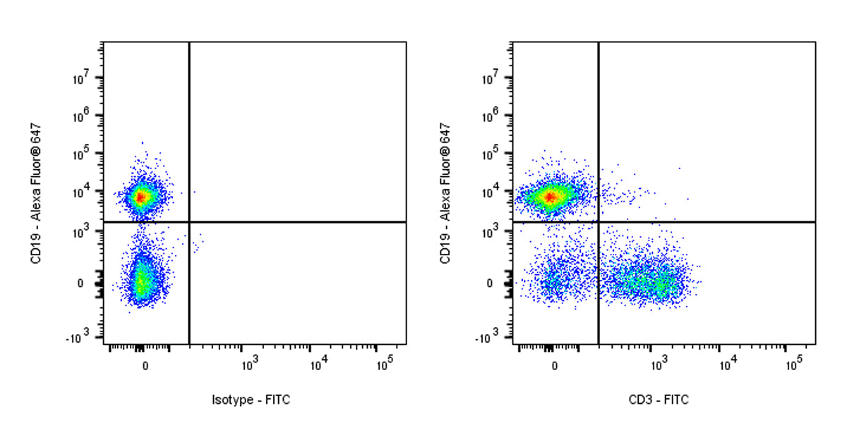 FITC Mouse Anti-Mouse CD3 Antibody (S-R446)