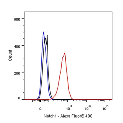 Notch1 Recombinant Rabbit mAb (S-1105-4)