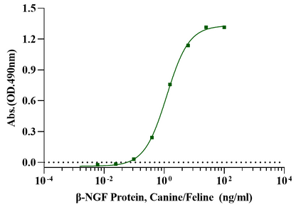 β-NGF Protein, Canine/Feline