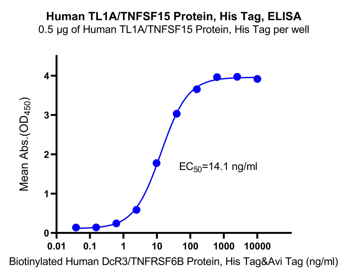 Human TL1A/TNFSF15 Protein, His Tag