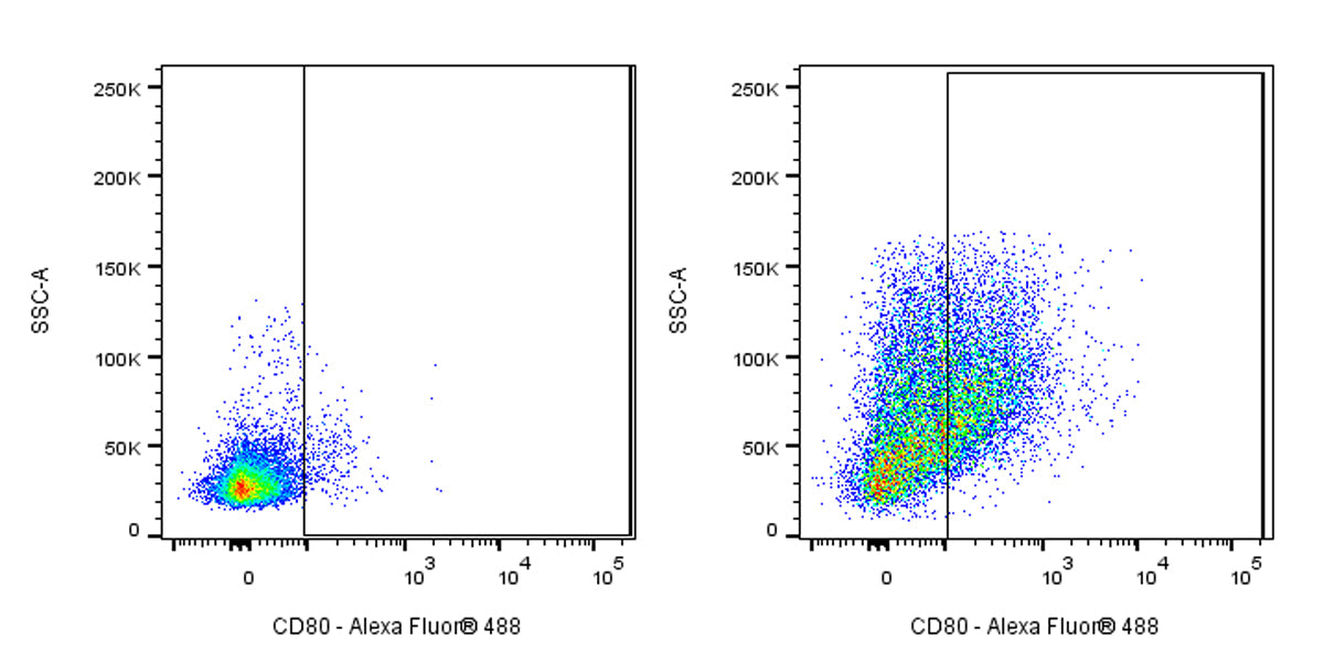 Alexa Fluor® 488 Armenian hamster Anti-Mouse CD80 Antibody (16-10A1)