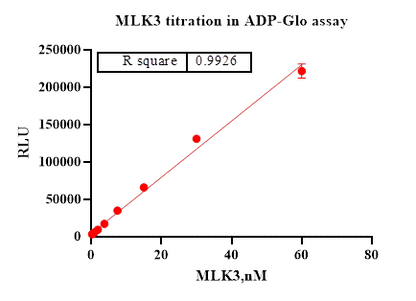 MLK3 Protein