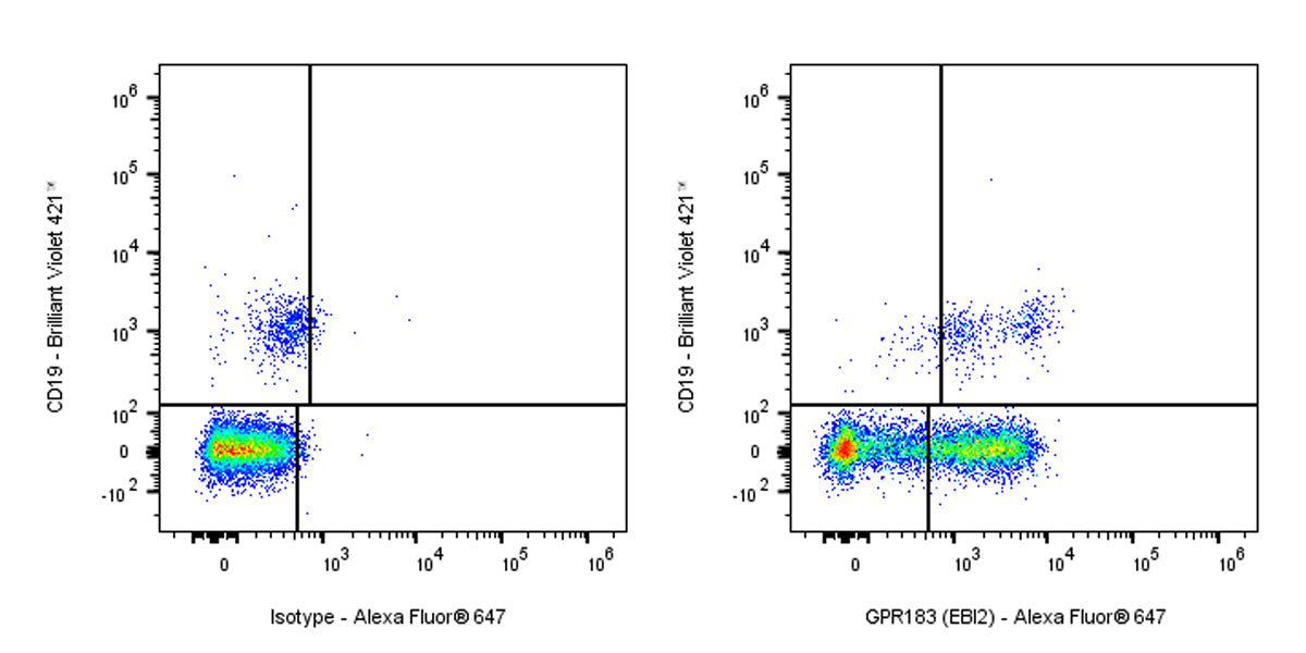 Mouse Anti-Human GPR183 (EBI2) Antibody (S-3016)