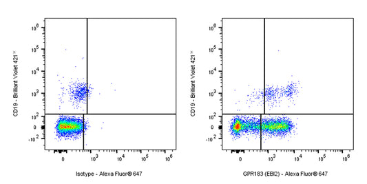 Mouse Anti-Human GPR183 (EBI2) Antibody (S-3016)